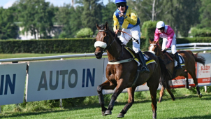 Pardubice: Zlatý pohár pro Northerly Winda