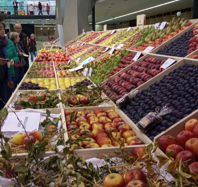 FOTO: Podzimní Flora se proměnila v Zahradní slavnost