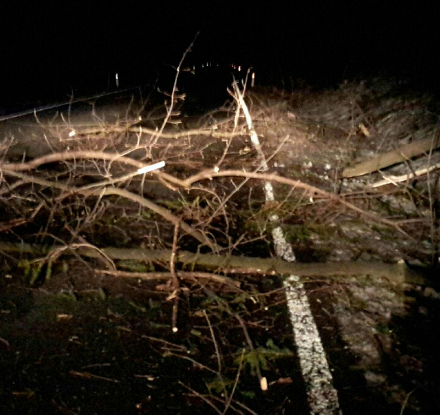 Hasiči po celé republice zasahují u následků vichřice Sabine